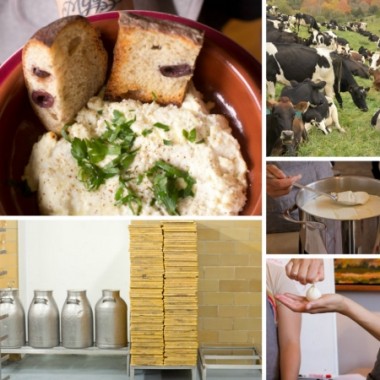 It's Not You It's Brie Blog